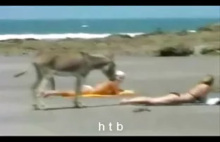 XXX Ve pornu indirr idrar ve kadın suyu karışımı vardı! Telefonunuzdaki Asya bölümünden