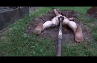 XXX vücudunu göstermeyi sever, Ve bunu turkcepornu her fırsatta gördüğü zaman yapıyor!