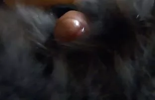 XXX yumrukları ile otubuste pornu becermesi gerekecek, Ama o böyle bir cinsel görevle sakin